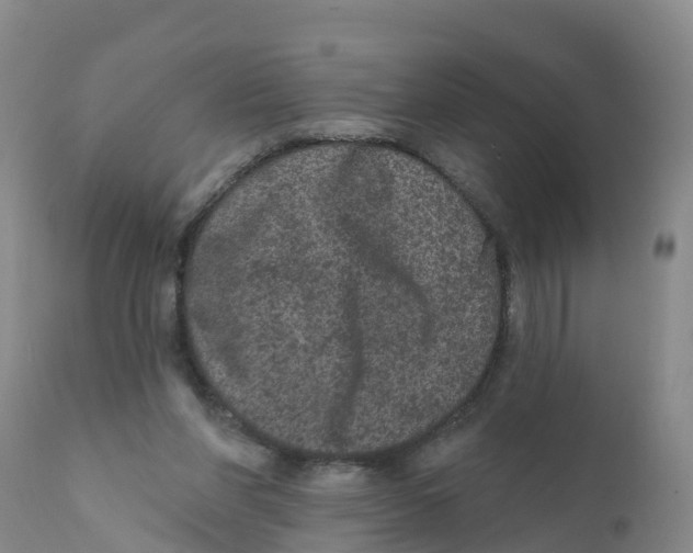 X0000111640206200908141415