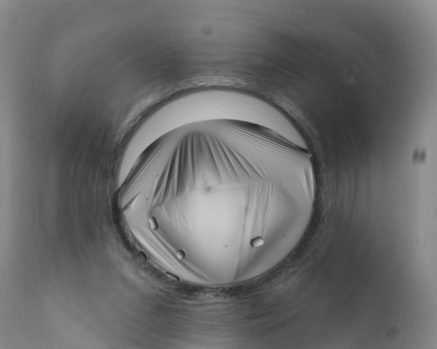 X0000111640207200908141415