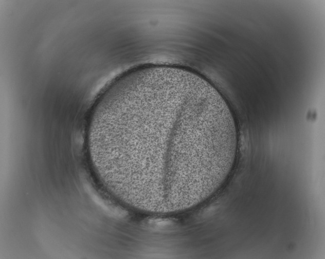 X0000111640208200908141415