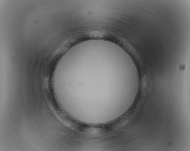 X0000111640209200908141415