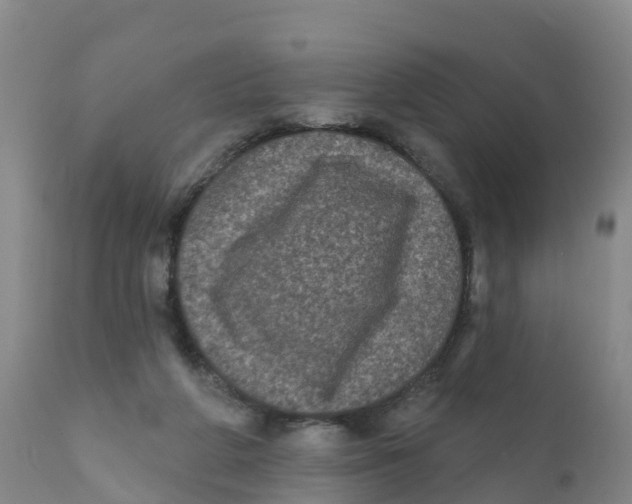 X0000111640210200908141415