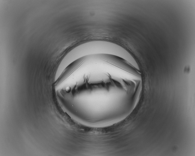 X0000111640211200908141415