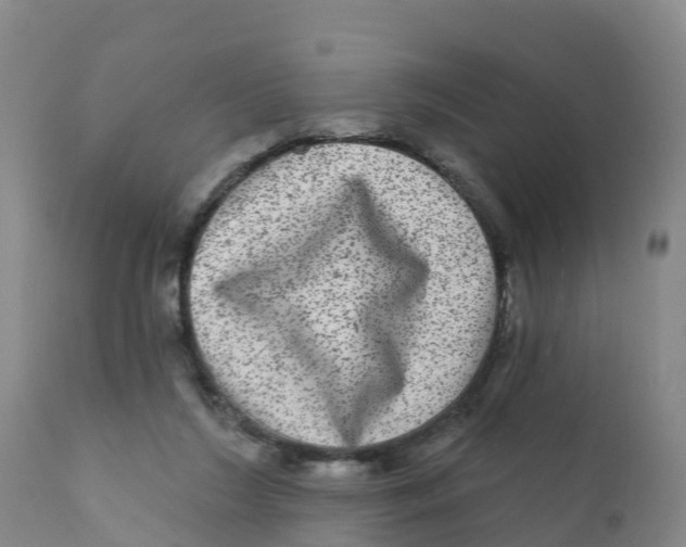 X0000111640212200908141415