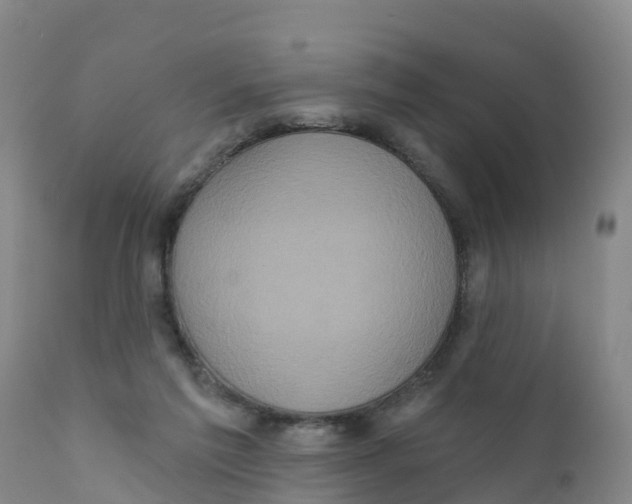 X0000111640213200908141415