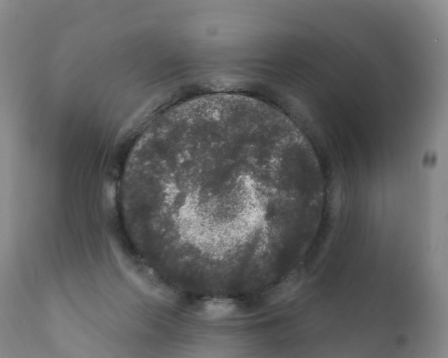 X0000111640214200908141415