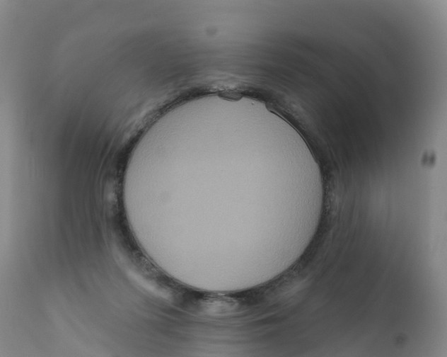 X0000111640215200908141415