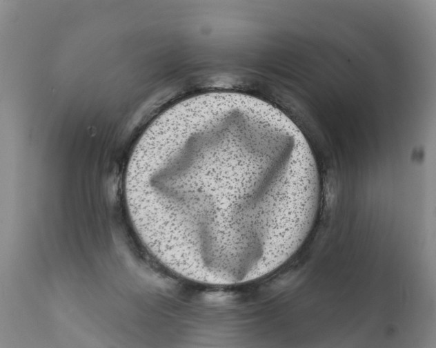 X0000111640216200908141415