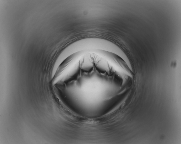 X0000111640217200908141415