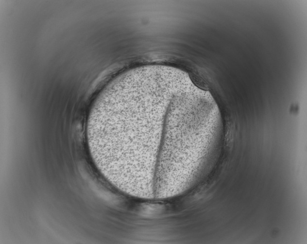 X0000111640220200908141415