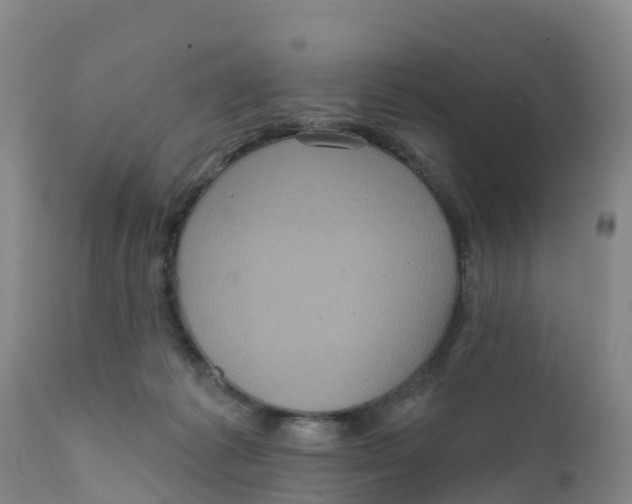 X0000111640221200908141415