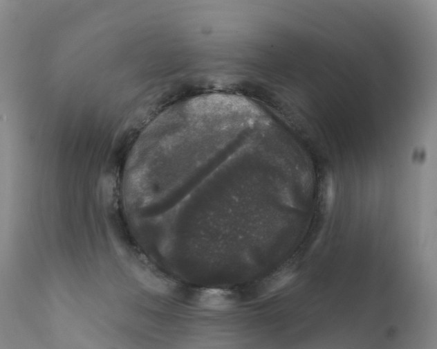 X0000111640222200908141415