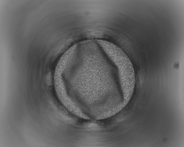 X0000111640224200908141415