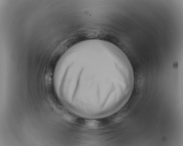 X0000111640226200908141415