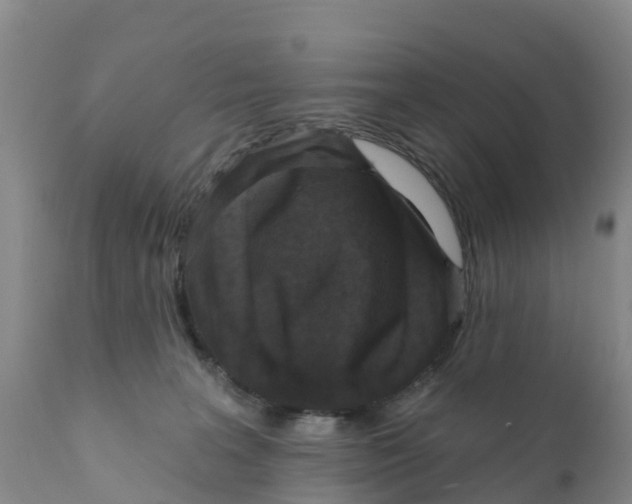 X0000111640227200908141415
