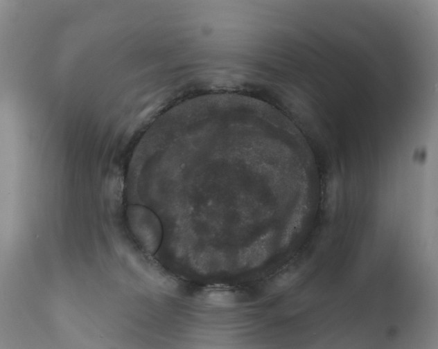 X0000111640228200908141415
