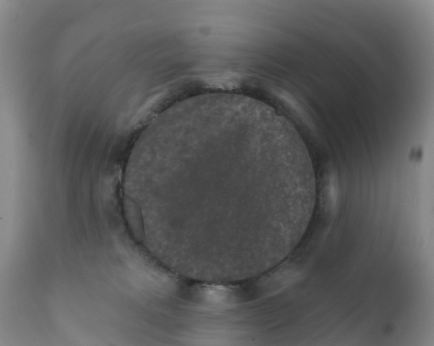 X0000111640229200908141415