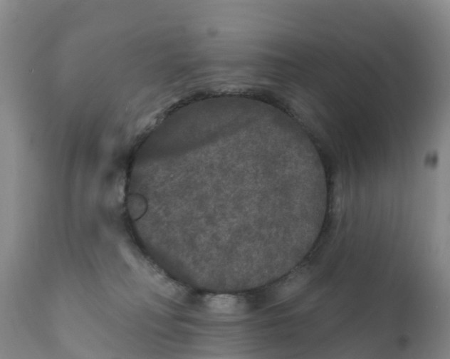 X0000111640230200908141415