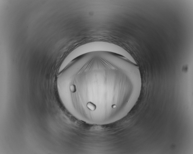 X0000111640231200908141415