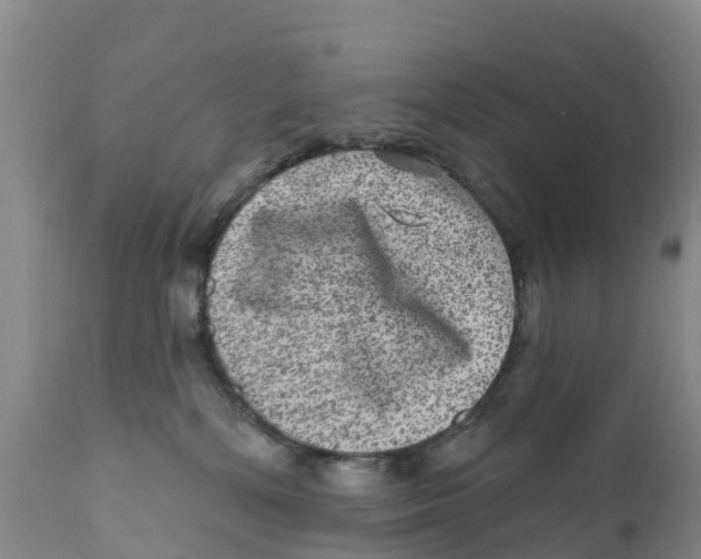 X0000111640232200908141415