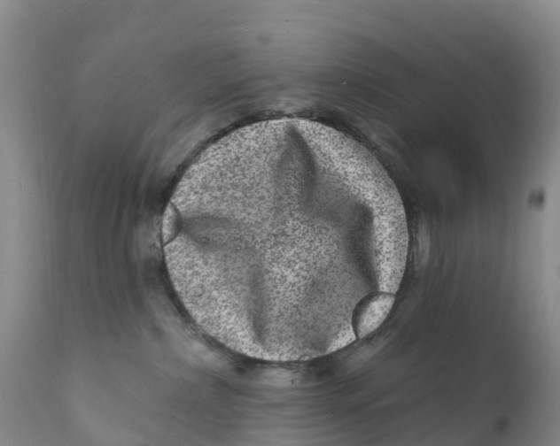 X0000111640236200908141415
