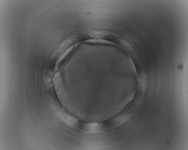 X0000111640237200908141415