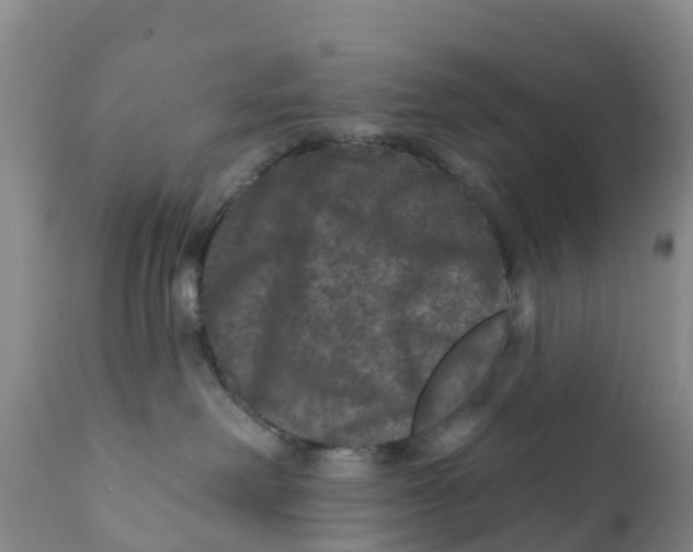 X0000111640238200908141415