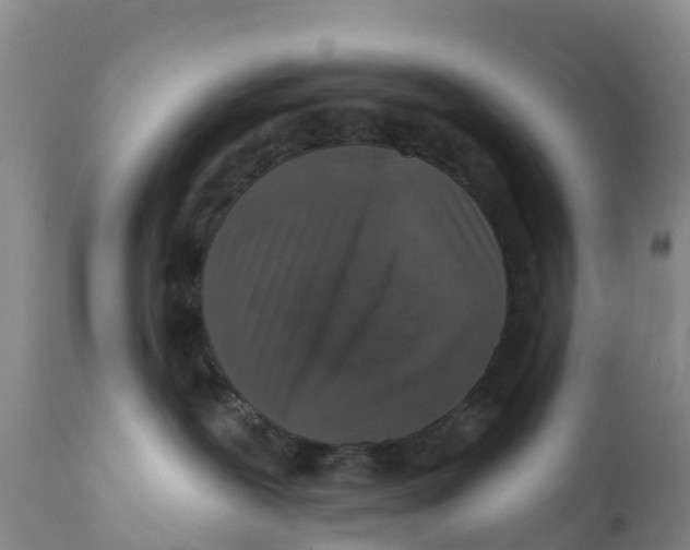X0000111640239200908141415