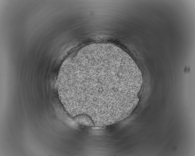 X0000111640240200908141415