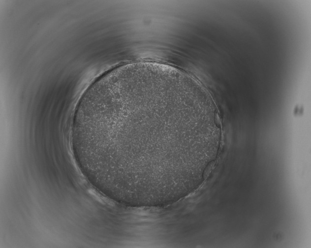 X0000111640241200908141414