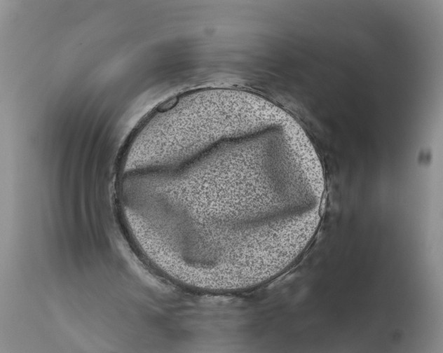 X0000111640242200908141414