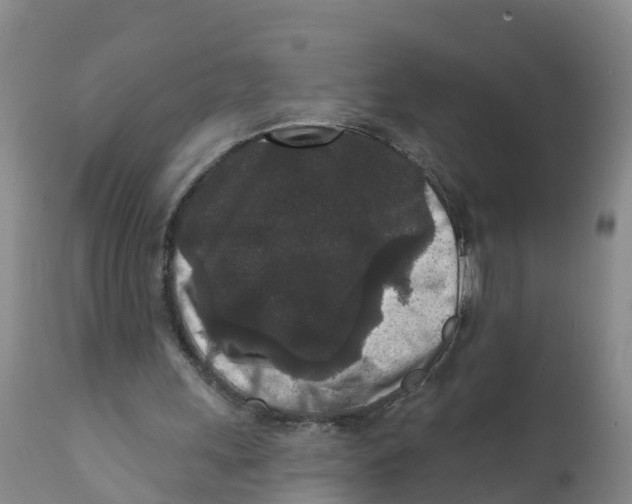 X0000111640243200908141414