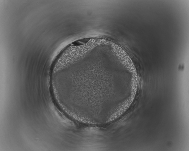 X0000111640244200908141414