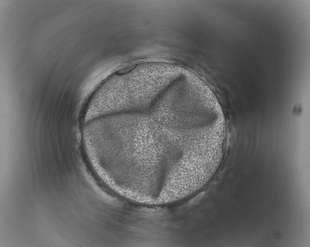 X0000111640245200908141414