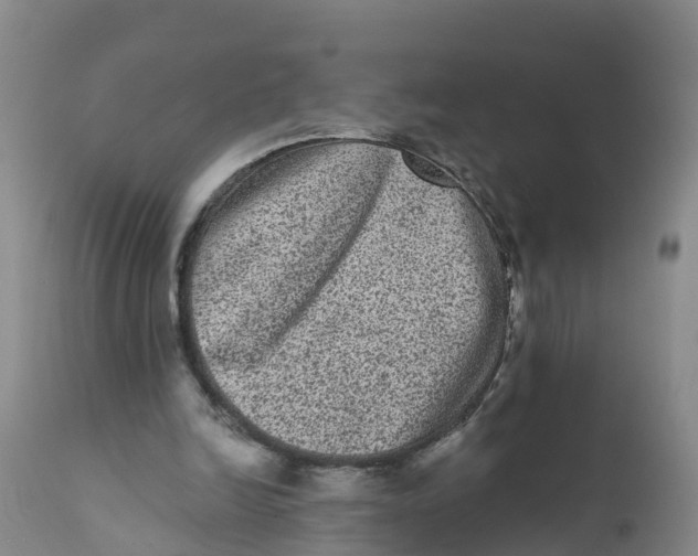 X0000111640246200908141414