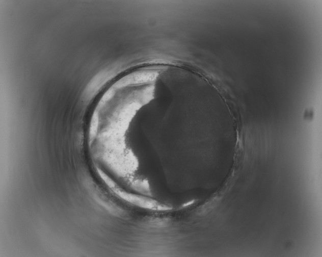 X0000111640247200908141414