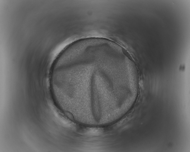 X0000111640248200908141414