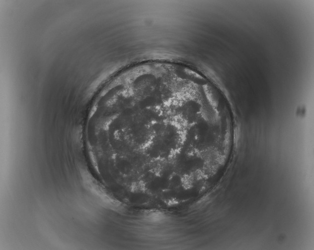 X0000111640249200908141414