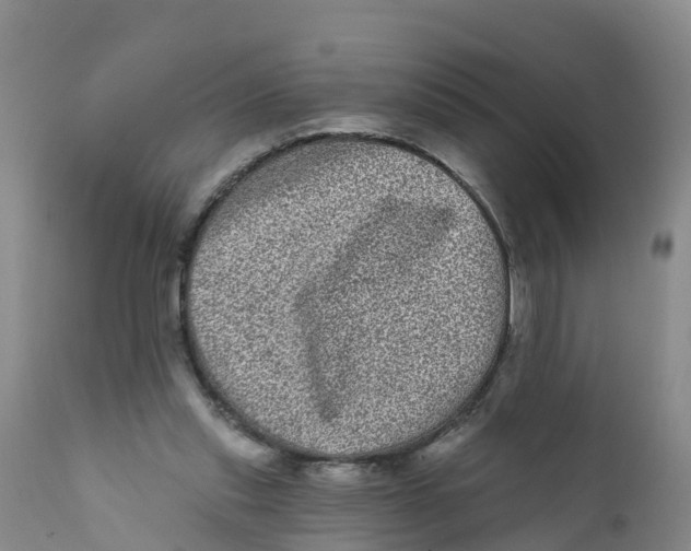 X0000111640253200908141414