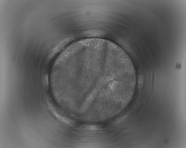 X0000111640254200908141414