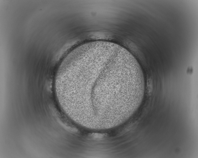 X0000111640255200908141414
