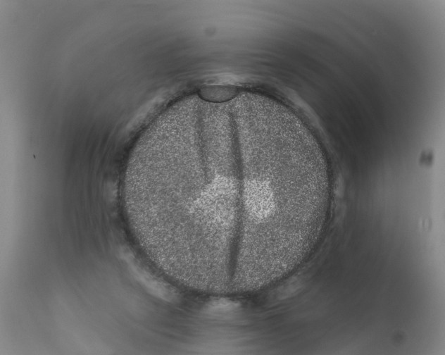 X0000111640257200908141414