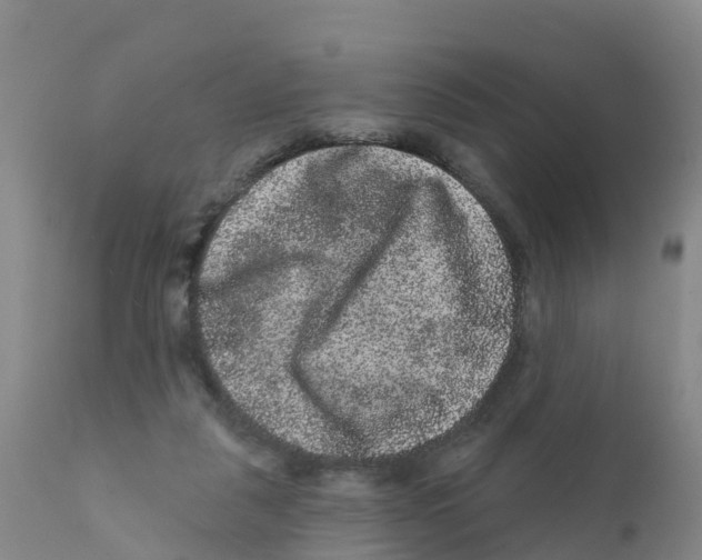 X0000111640259200908141414