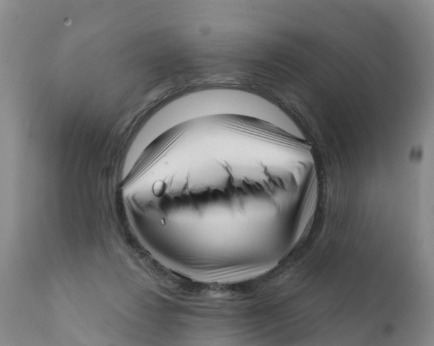 X0000111640260200908141414