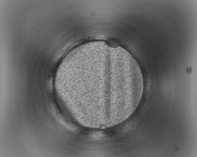 X0000111640262200908141414