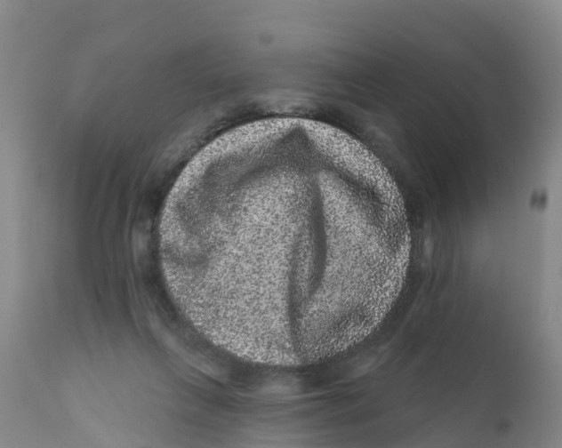 X0000111640263200908141414