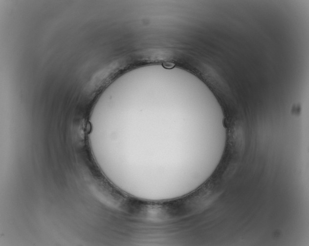 X0000111640264200908141414
