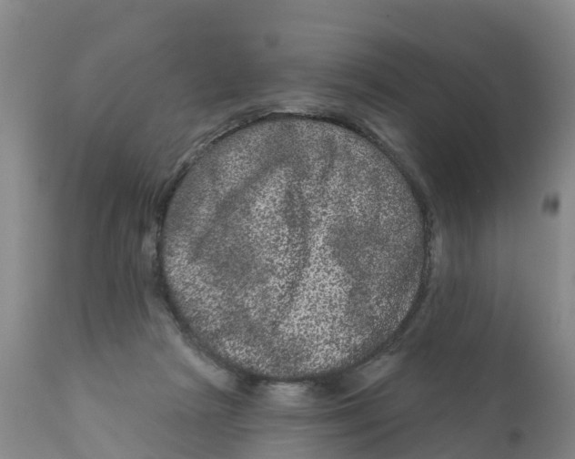 X0000111640265200908141414