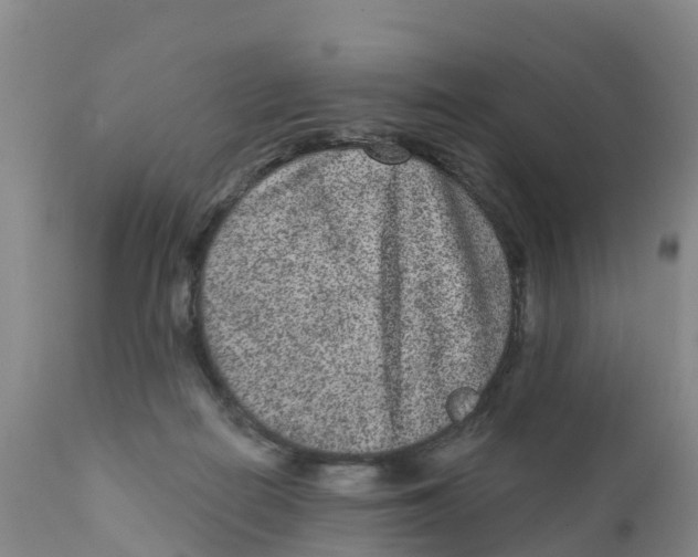 X0000111640266200908141414