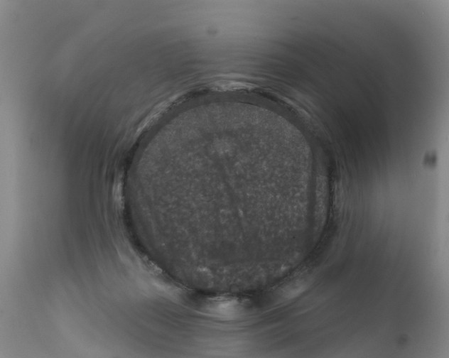 X0000111640267200908141414
