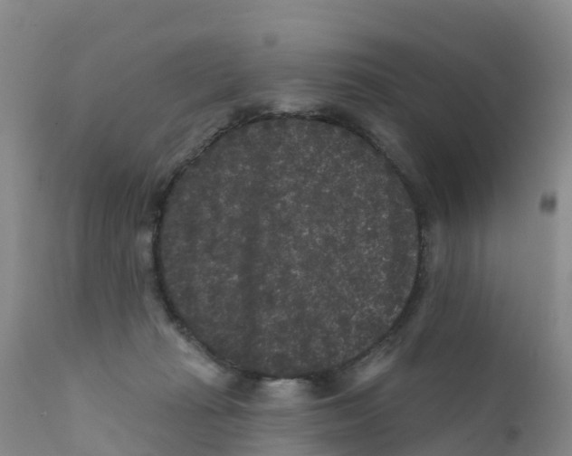 X0000111640269200908141415